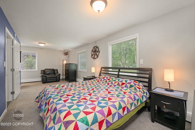13521 Jarvi Dr, Anchorage, AK 99515 - photo 30