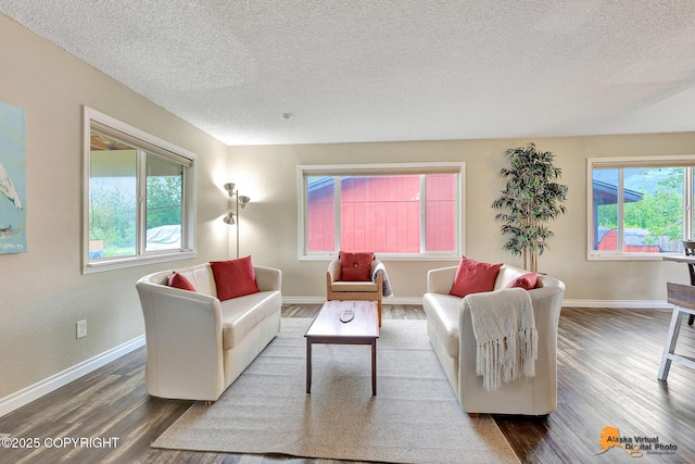 8630 E 17th Ave, Anchorage, AK 99504 - living room with dark wood-style floors and a textured ceiling