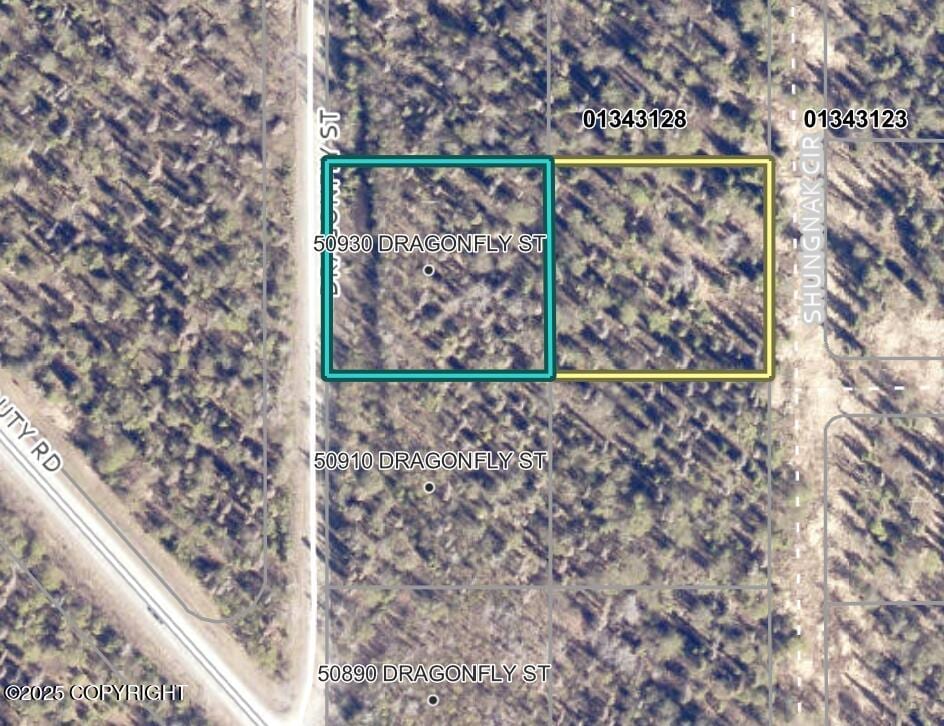 50930 Dragonfly St, Nikiski/North Kenai, AK 99611