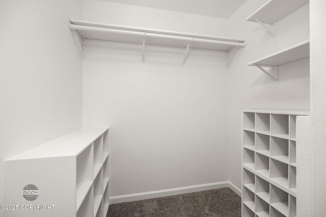 1675 Sitka St # 102, Anchorage, AK 99501 - spacious closet with carpet