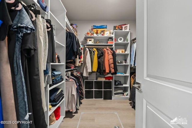 8028 E Yarn Spinner Cir, Palmer, AK 99645 - walk in closet with wood finished floors