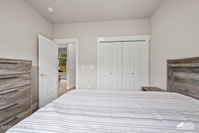 8028 E Yarn Spinner Cir, Palmer, AK 99645 - bedroom with a closet