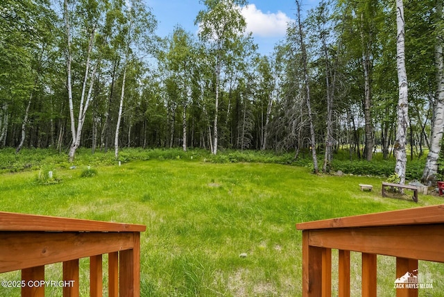 8028 E Yarn Spinner Cir, Palmer, AK 99645 - view of yard