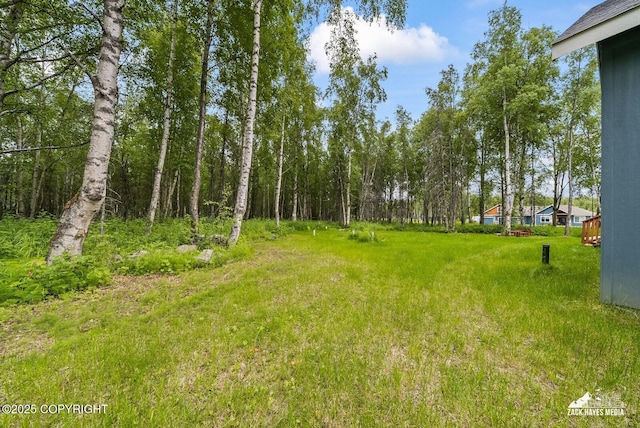 8028 E Yarn Spinner Cir, Palmer, AK 99645 - view of yard