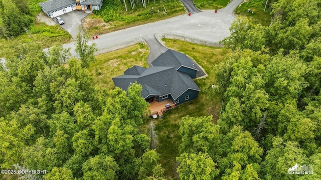 8028 E Yarn Spinner Cir, Palmer, AK 99645 - aerial view of property and surrounding area