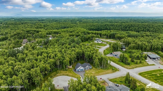 8028 E Yarn Spinner Cir, Palmer, AK 99645 - aerial view of property's location featuring a heavily wooded area