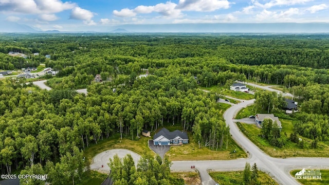 8028 E Yarn Spinner Cir, Palmer, AK 99645 - aerial overview of property's location featuring a forest