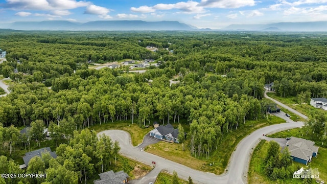 8028 E Yarn Spinner Cir, Palmer, AK 99645 - aerial view of property and surrounding area with a heavily wooded area