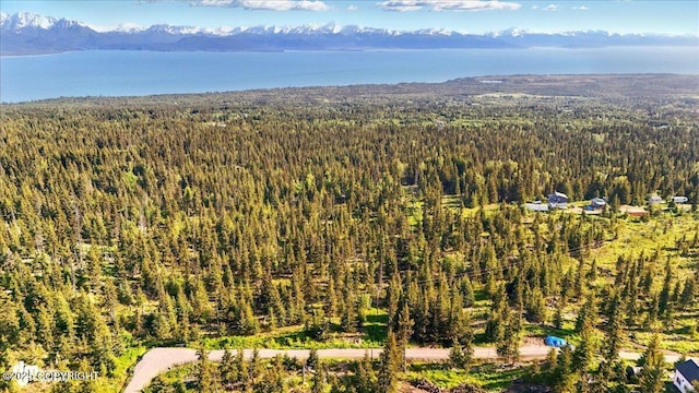 54533 Winchester Ave, Homer, AK 99603