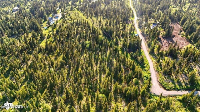 54533 Winchester Ave, Homer, AK 99603