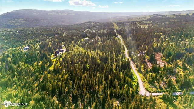 54533 Winchester Ave, Homer, AK 99603