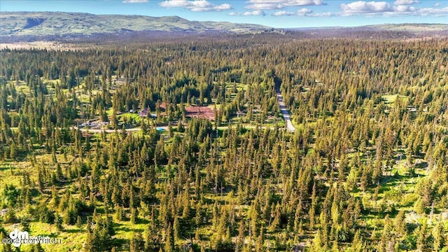 54533 Winchester Ave, Homer, AK 99603