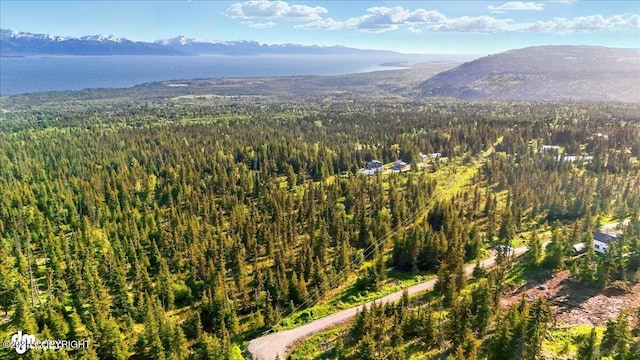 54533 Winchester Ave, Homer, AK 99603