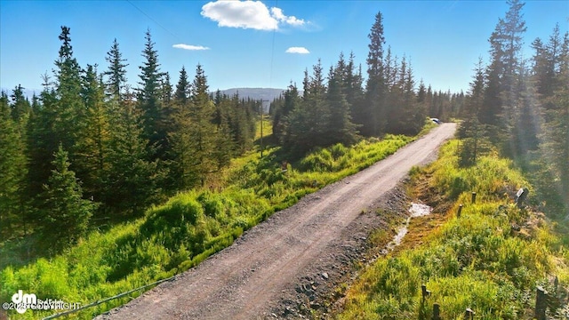54533 Winchester Ave, Homer, AK 99603