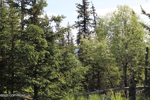 54533 Winchester Ave, Homer, AK 99603
