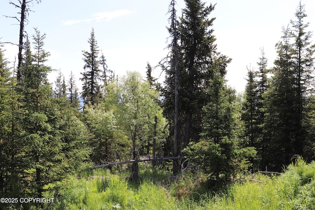 54533 Winchester Ave, Homer, AK 99603