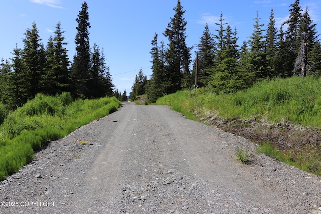 54533 Winchester Ave, Homer, AK 99603