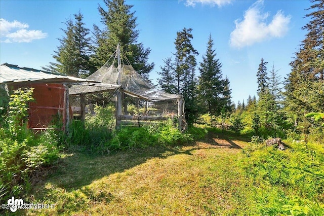 71252 Siri, Anchor Point, AK 99556 - view of yard