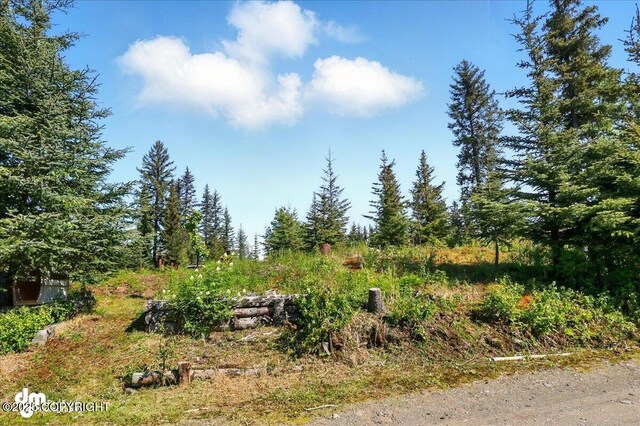 71252 Siri, Anchor Point, AK 99556 - view of undeveloped land