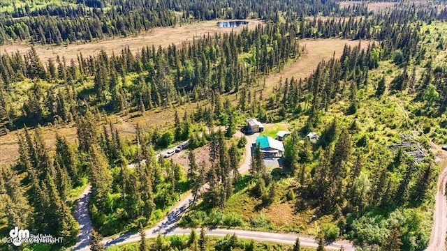 71252 Siri, Anchor Point, AK 99556 - aerial view of property's location with a forest