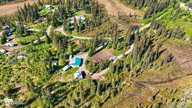 71252 Siri, Anchor Point, AK 99556 - aerial view of property and surrounding area