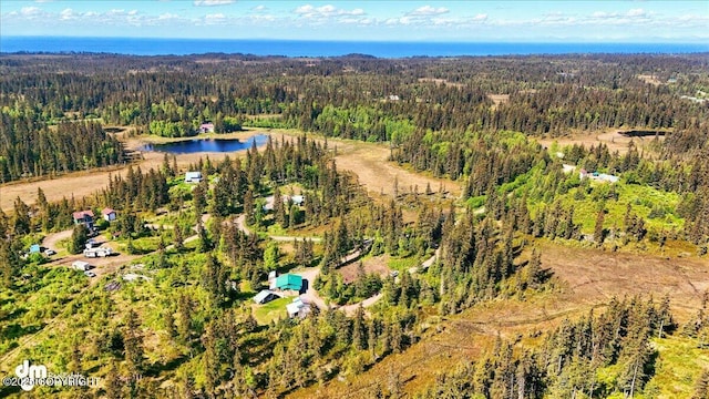 71252 Siri, Anchor Point, AK 99556 - aerial view of property and surrounding area with a forest and a large body of water