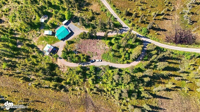 71252 Siri, Anchor Point, AK 99556 - aerial overview of property's location