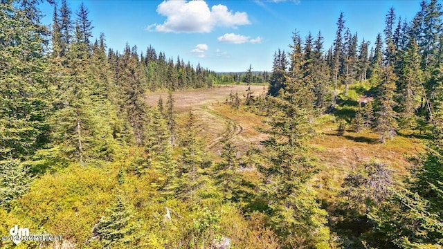 71252 Siri, Anchor Point, AK 99556 - view of tree filled area