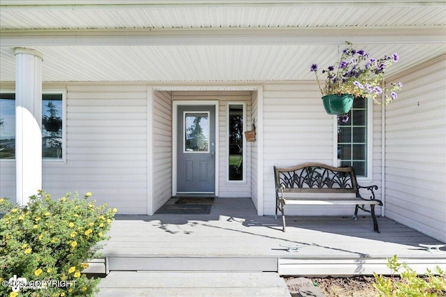 47040 Wazzu Ave, Soldotna, AK 99669 - photo 5