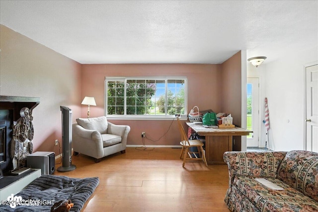 701 N Luke St, Wasilla, AK 99654 - living room featuring wood finished floors and baseboards