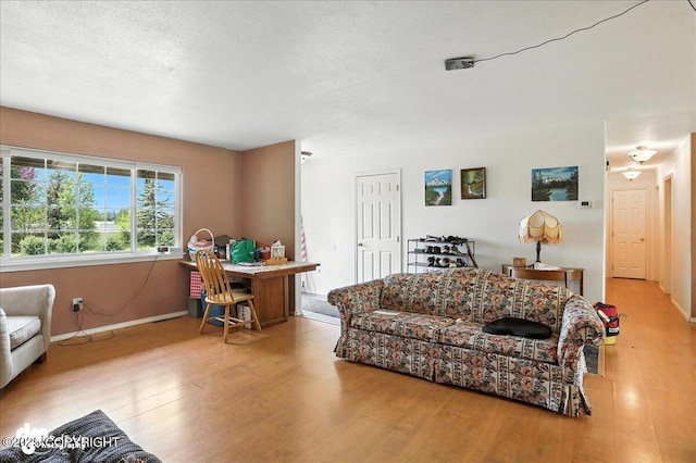 701 N Luke St, Wasilla, AK 99654 - living room featuring wood finished floors and a textured ceiling