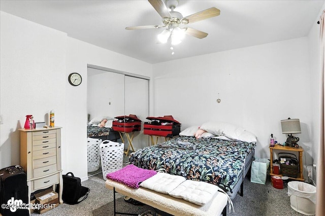 701 N Luke St, Wasilla, AK 99654 - carpeted bedroom with a closet and ceiling fan