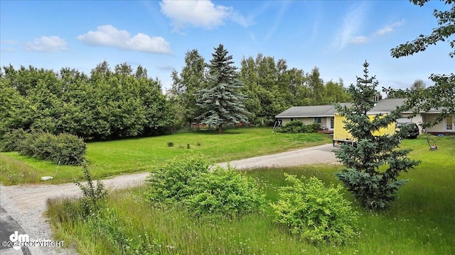 701 N Luke St, Wasilla, AK 99654 - surrounding community featuring driveway and a yard