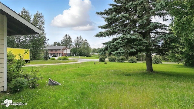 701 N Luke St, Wasilla, AK 99654 - view of grassy yard