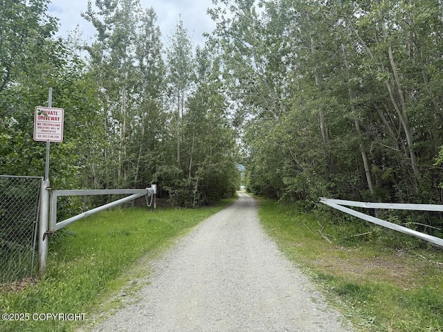 701 N Luke St, Wasilla, AK 99654 - view of dirt / gravel road