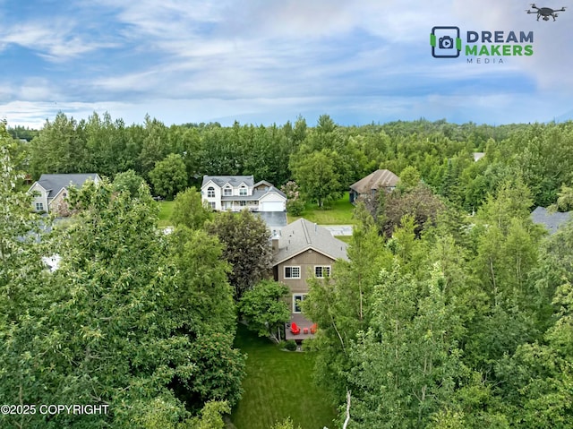 11240 E Equestrian St, Palmer, AK 99645 - view from above of property featuring a forest