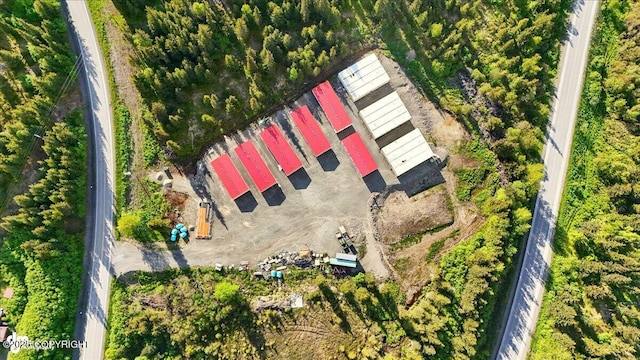 42706 Old Sterling Hwy, Anchor Point, AK 99556 - view from above of property