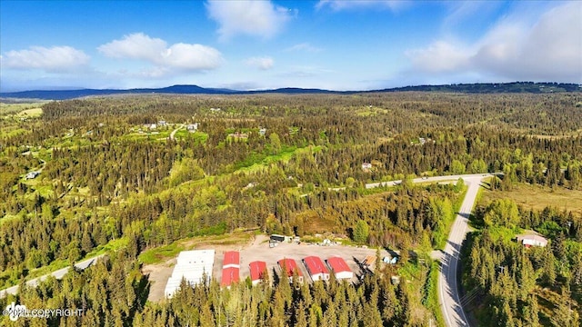 42706 Old Sterling Hwy, Anchor Point, AK 99556 - aerial view of a heavily wooded area