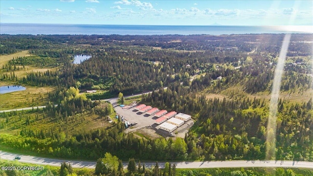 42706 Old Sterling Hwy, Anchor Point, AK 99556 - aerial view of property's location featuring a forest and a large body of water