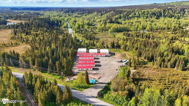 42706 Old Sterling Hwy, Anchor Point, AK 99556 - bird's eye view of a heavily wooded area