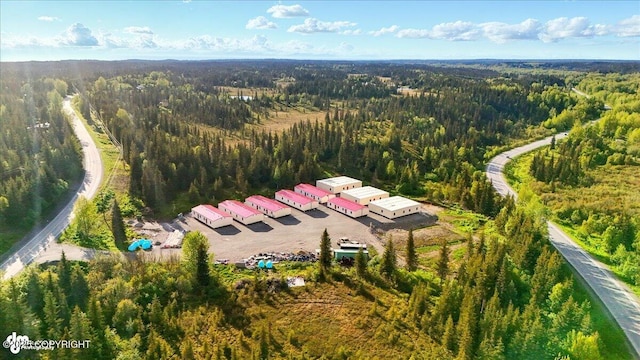 42706 Old Sterling Hwy, Anchor Point, AK 99556 - bird's eye view of a forest