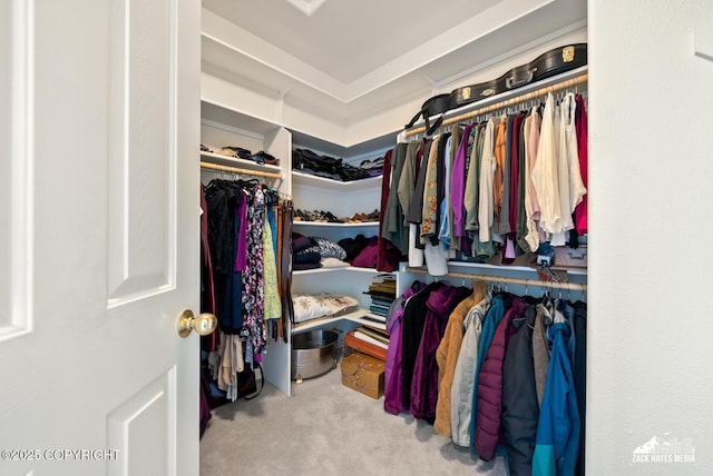 10100 Zermatt Cir, Anchorage, AK 99507 - spacious closet with carpet floors