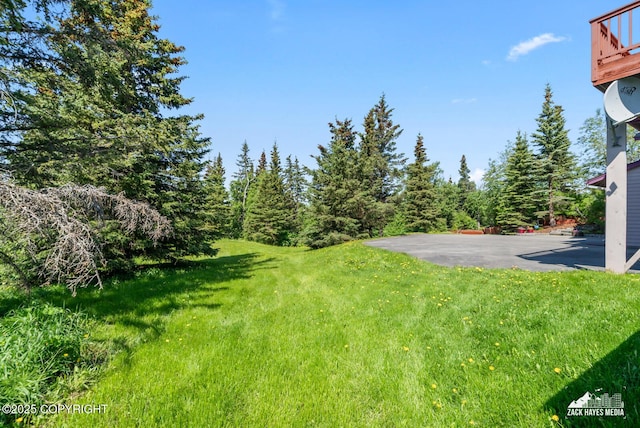 10100 Zermatt Cir, Anchorage, AK 99507 - view of green lawn