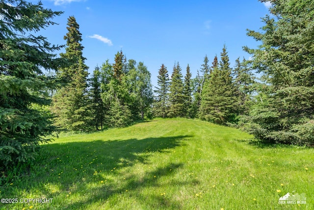 10100 Zermatt Cir, Anchorage, AK 99507 - view of green lawn