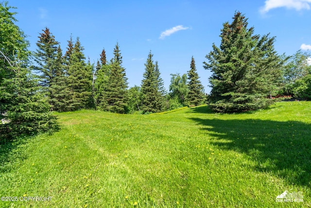 10100 Zermatt Cir, Anchorage, AK 99507 - view of grassy yard