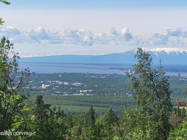 9921 Nearpoint Dr, Anchorage, AK 99507 - view of mountain backdrop with a forest