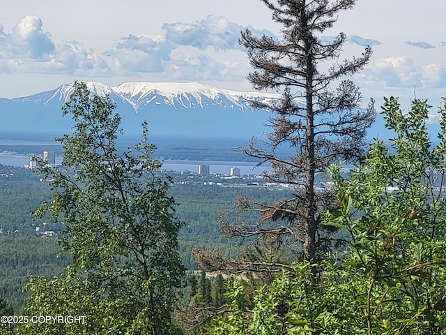 9921 Nearpoint Dr, Anchorage, AK 99507 - water view featuring a heavily wooded area