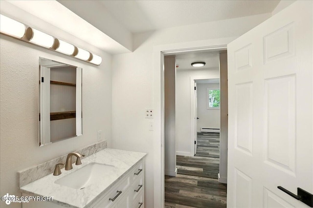 309 Stewart St, Anchorage, AK 99508 - bathroom featuring a baseboard radiator, wood finished floors, and vanity