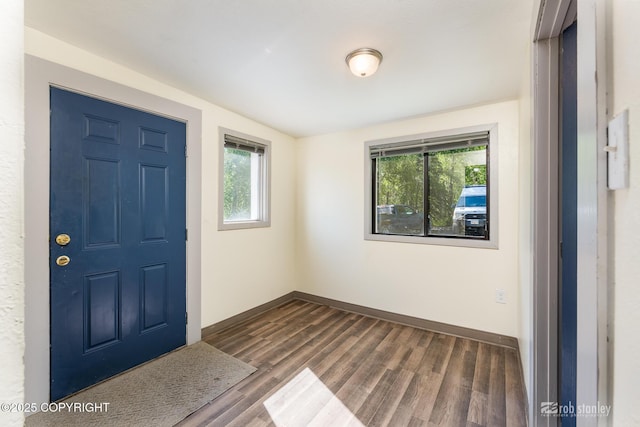 3521 N Caribou St, Wasilla, AK 99654 - foyer with healthy amount of natural light and dark wood-type flooring