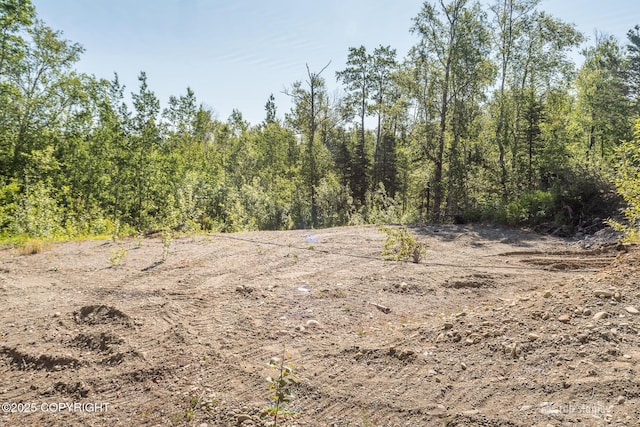 3521 N Caribou St, Wasilla, AK 99654 - view of local wilderness